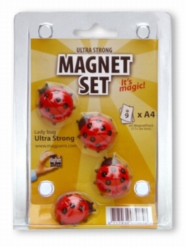 MagPaint magneet lieveheersbeestje 4 stuks