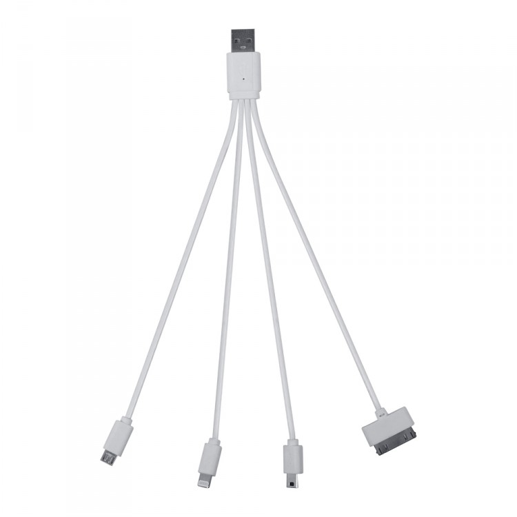 Carpoint usb multi kabel (USB naar Mini-Micro-iPod-iPhone56)