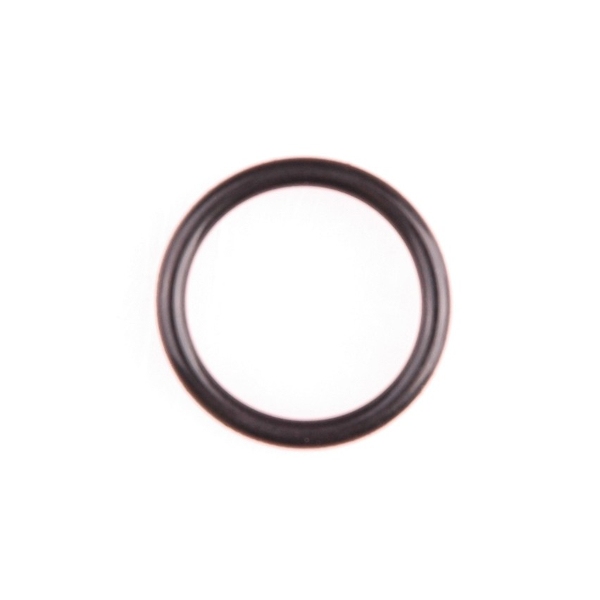 O-ring Gloria.