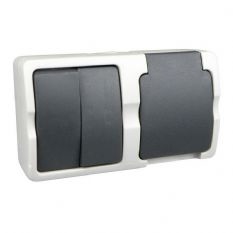 WD serie combi, schakelaar+ stopcontact (RA) horizontaal