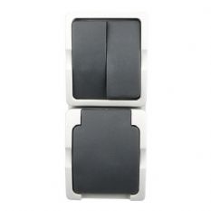 WD serie combi, schakelaar+ stopcontact (RA) verticaal