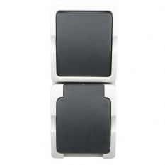 WD wissel combi, schakelaar+ stopcontact (RA) verticaal