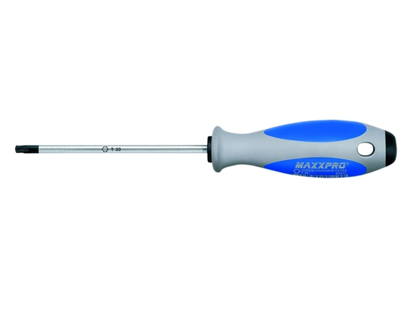 Witte MAXXPRO TORX T 20.